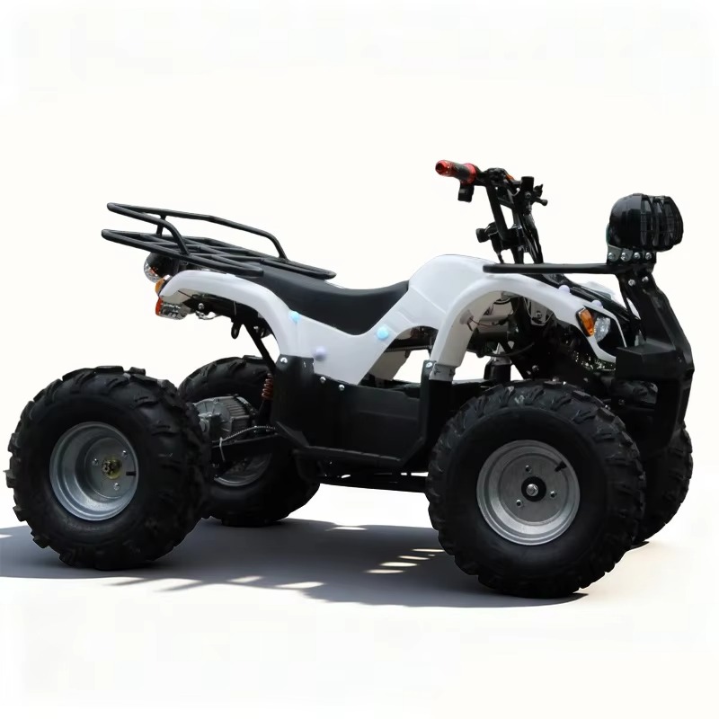 Kids Outdoor Quad Bike - 750W 48V Kinder-Elektro-ATV Quad 4-Rad, Automatischer