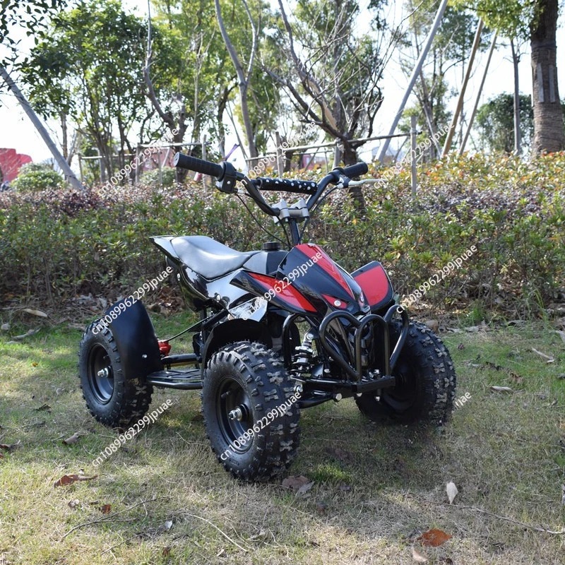 49cc 2-Takt Mini-Motorrad Mini – Kids Outdoor Quad Bike Bewertung und Preis