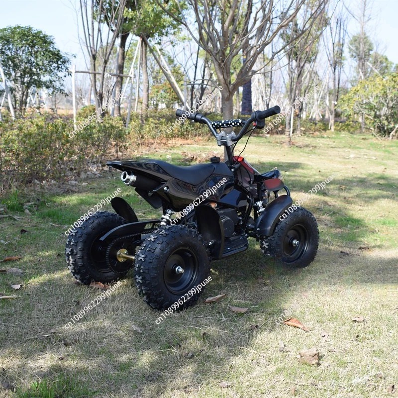 49cc 2-Takt Mini-Motorrad Mini – Kids Outdoor Quad Bike Bewertung und Preis