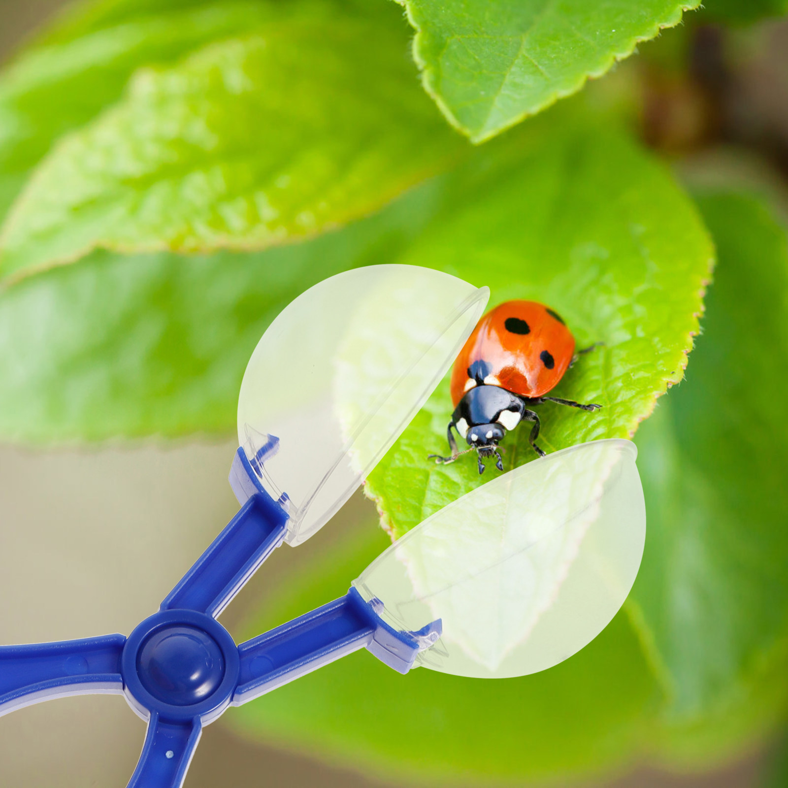 8-teiliges Insektenfänger-Set  – Kids Outdoor Fun Bewertung und Preis