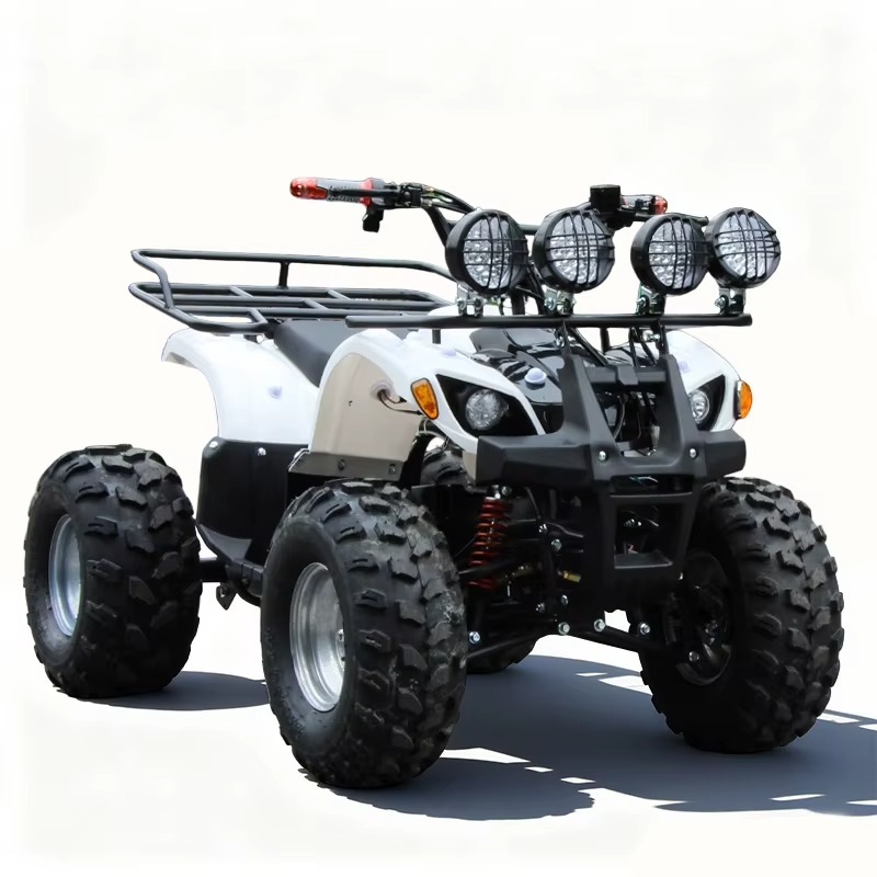 750W 48V Kinder-Elektro-ATV Qu – Kids Outdoor Quad Bike Bewertung und Preis