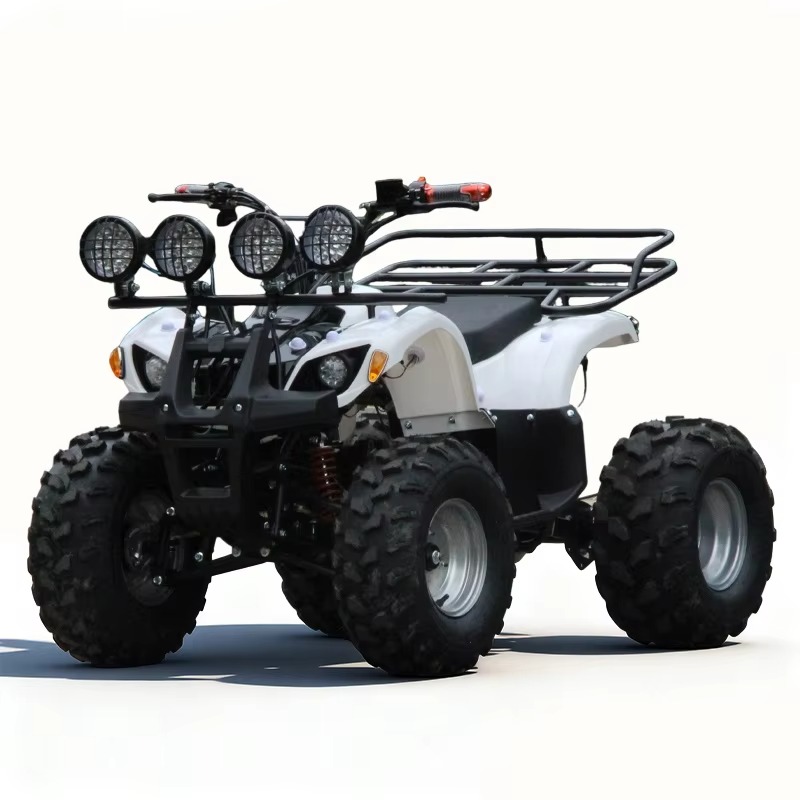 750W 48V Kinder-Elektro-ATV Qu – Kids Outdoor Quad Bike Bewertung und Preis