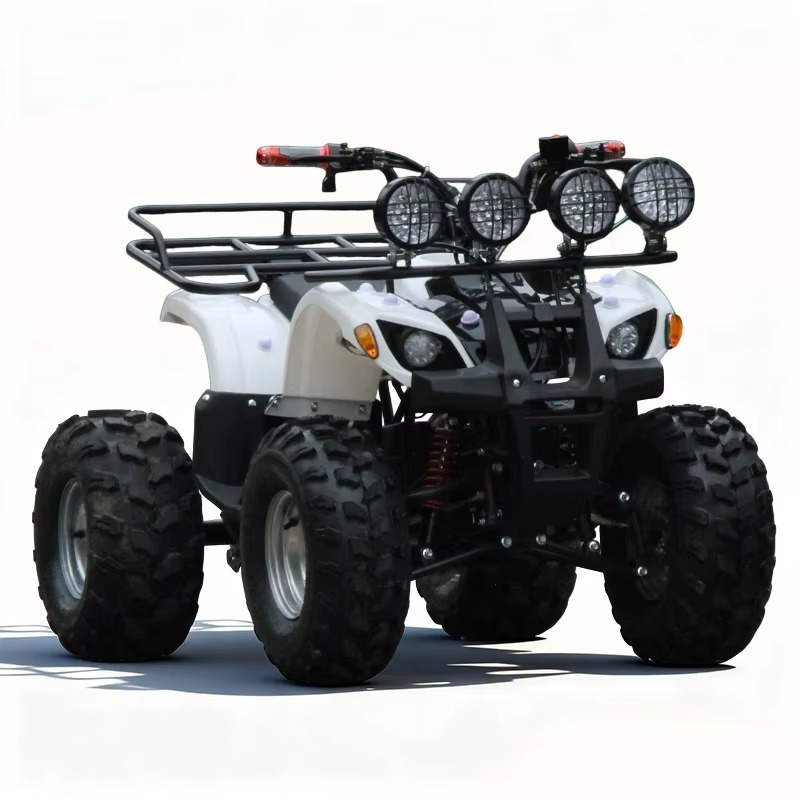 750W 48V Kinder-Elektro-ATV Qu – Kids Outdoor Quad Bike Bewertung und Preis