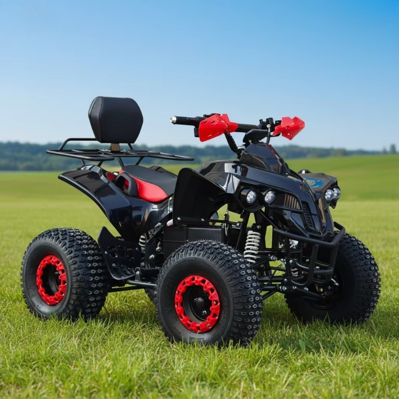 Elektrisches ATV-Quad mit Kard – Kids Outdoor Quad Bike Bewertung und Preis