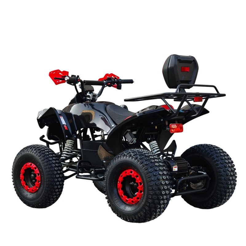 Elektrisches ATV-Quad mit Kard – Kids Outdoor Quad Bike Bewertung und Preis