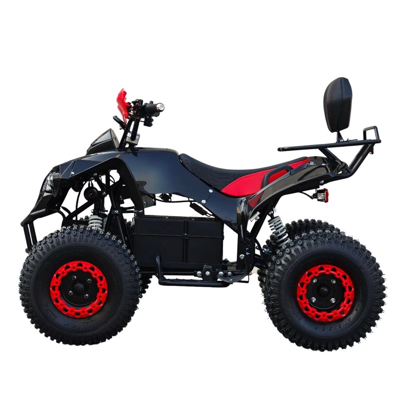 Elektrisches ATV-Quad mit Kard – Kids Outdoor Quad Bike Bewertung und Preis