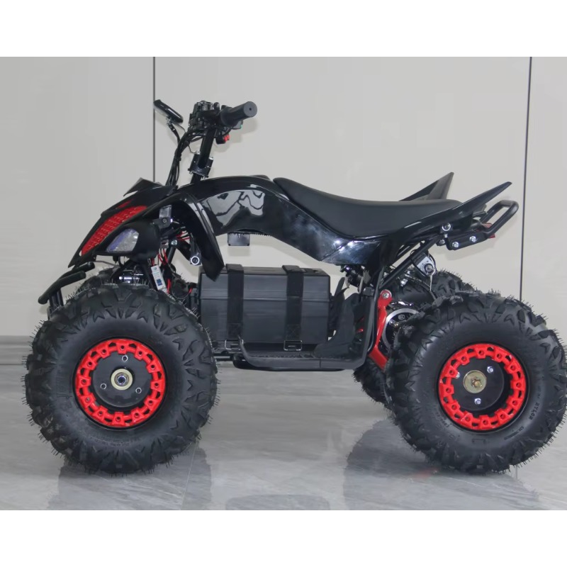 48V 1000W Elektrisches Kinder- – Kids Outdoor Quad Bike Bewertung und Preis