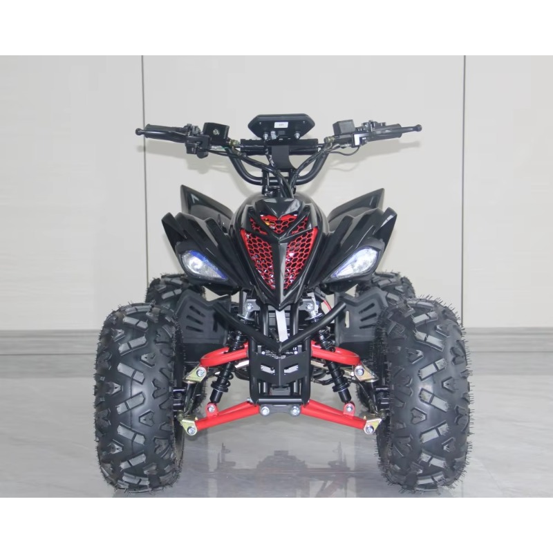 48V 1000W Elektrisches Kinder- – Kids Outdoor Quad Bike Bewertung und Preis