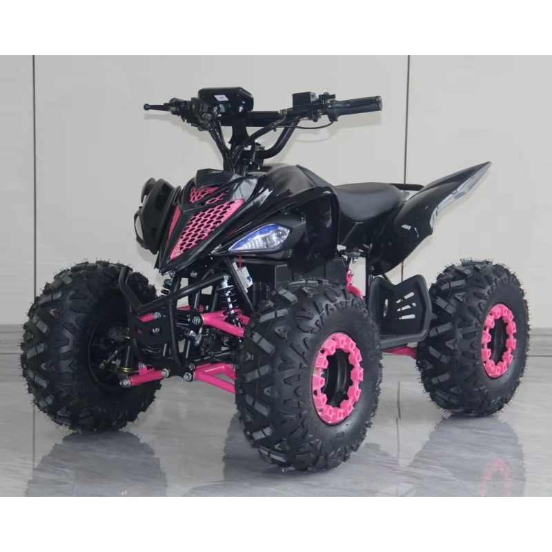 48V 1000W Elektrisches Kinder- – Kids Outdoor Quad Bike Bewertung und Preis