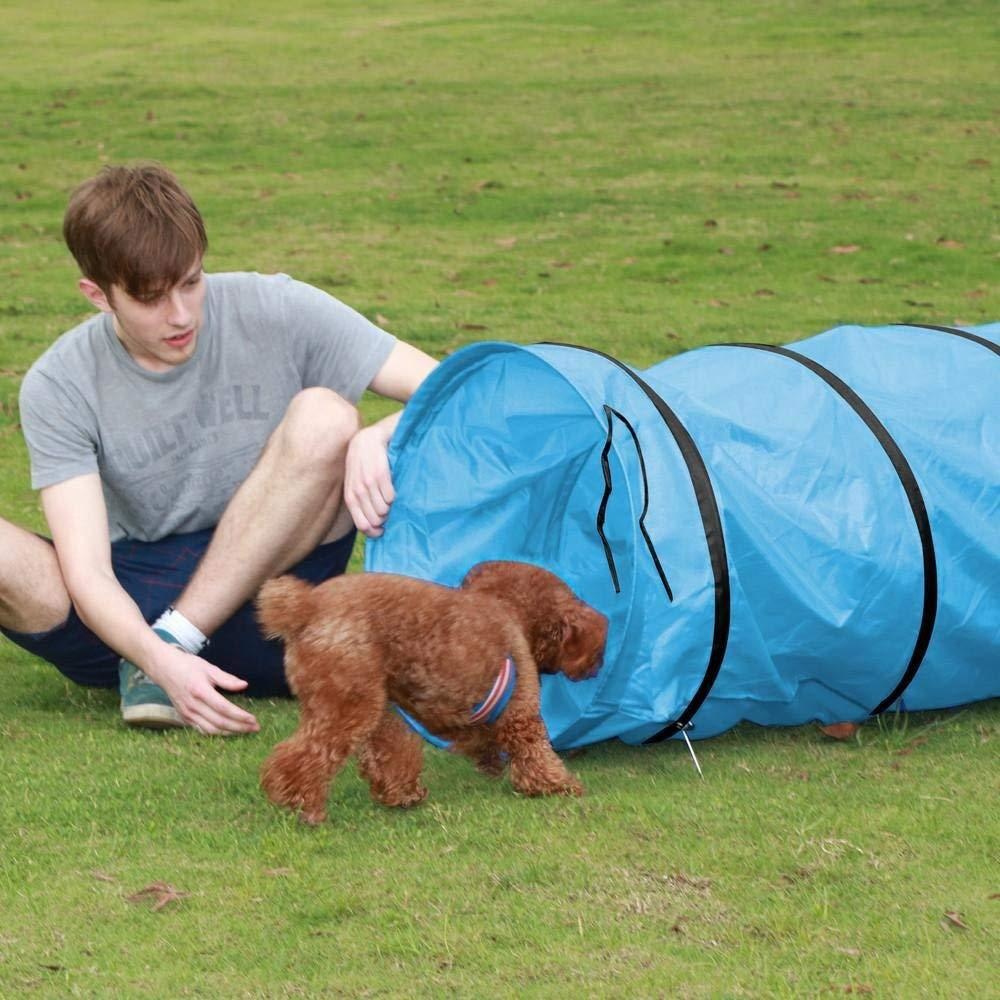 Kinder spielen Tunnel Haustier – Kids Outdoor Play Tent Bewertung und Preis
